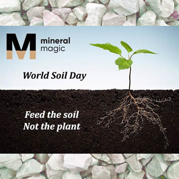 World Soil Day